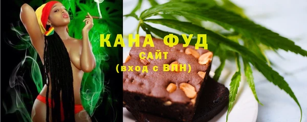 PSILOCYBIN Алзамай