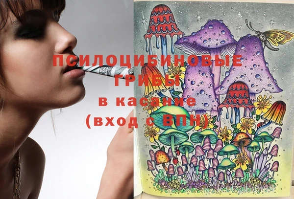 соль курить ск Алексин