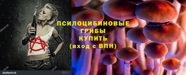 PSILOCYBIN Алзамай