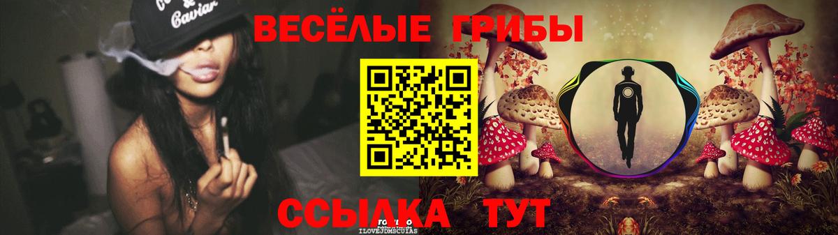 Галлюциногенные грибы Cubensis  Вход с VPN  Узловая  Галлюциногенные грибы ЛСД 
