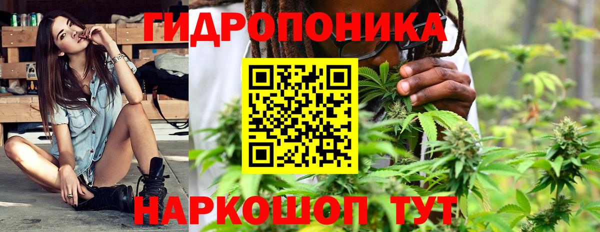 Шишки марихуана VHQ  Бошки Шишки LSD WEED  МАРИХУАНА гибрид  Конопля индика  Узловая  Вход с VPN 