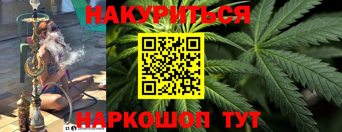 Канабис SATIVA & INDICA Узловая